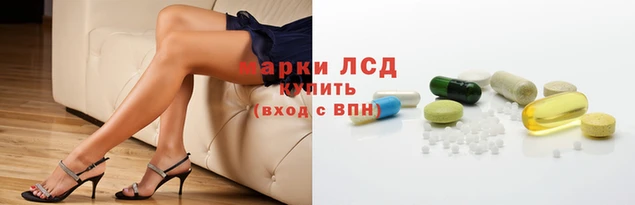 прущие грибы Абинск