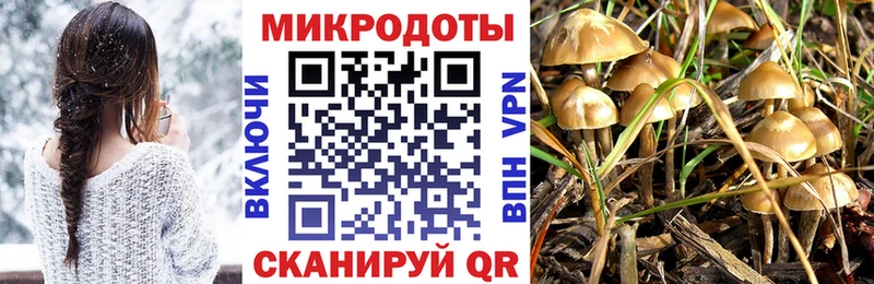 KRAKEN tor  купить  цена  Белореченск  Псилоцибиновые грибы прущие грибы 